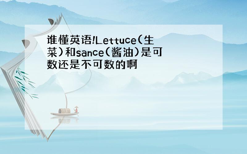 谁懂英语!Lettuce(生菜)和sance(酱油)是可数还是不可数的啊