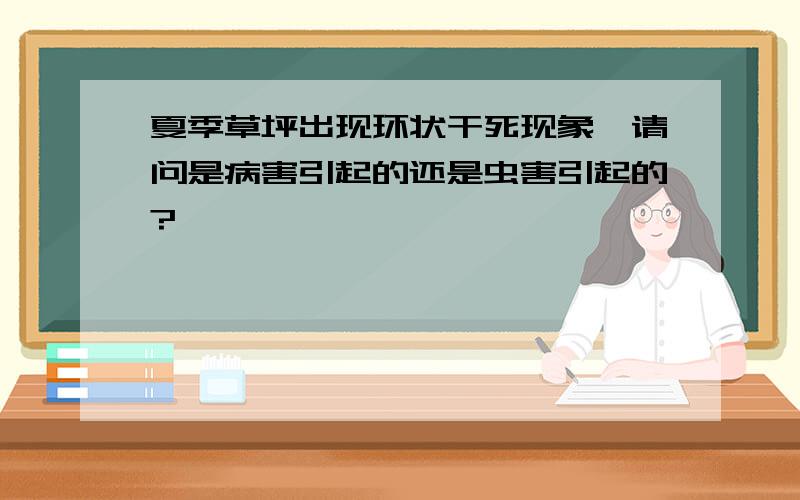 夏季草坪出现环状干死现象,请问是病害引起的还是虫害引起的?