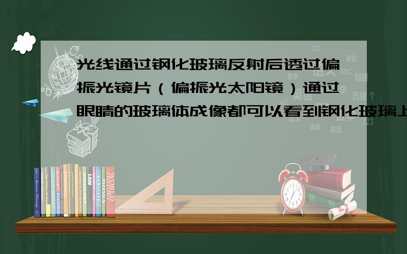 光线通过钢化玻璃反射后透过偏振光镜片（偏振光太阳镜）通过眼睛的玻璃体成像都可以看到钢化玻璃上的钢