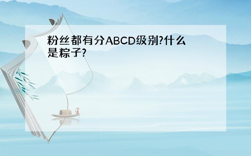 粉丝都有分ABCD级别?什么是粽子?