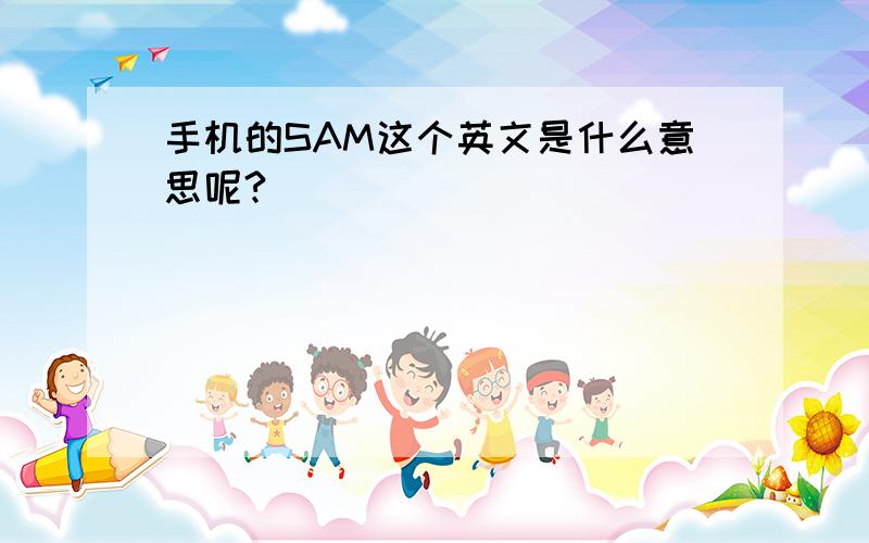 手机的SAM这个英文是什么意思呢?