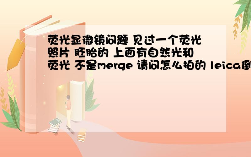 荧光显微镜问题 见过一个荧光照片 胚胎的 上面有自然光和荧光 不是merge 请问怎么拍的 leica倒置的可以