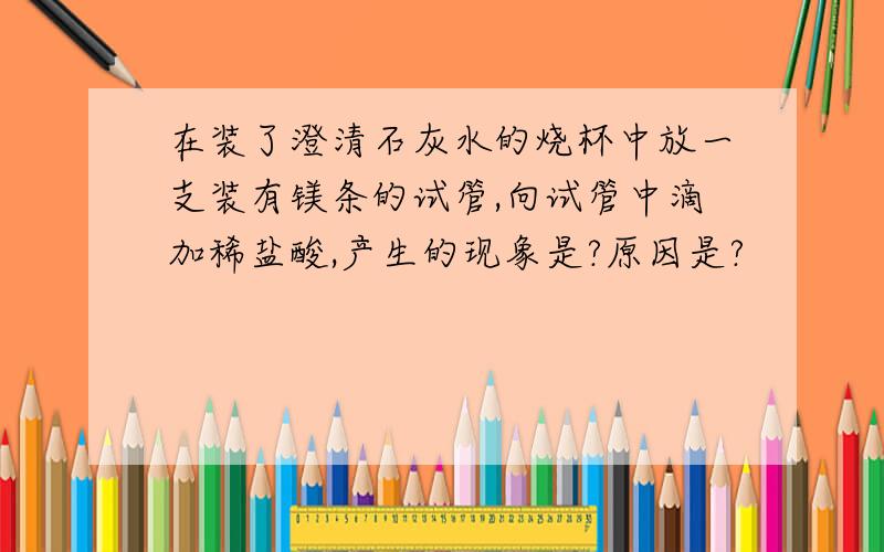 在装了澄清石灰水的烧杯中放一支装有镁条的试管,向试管中滴加稀盐酸,产生的现象是?原因是?