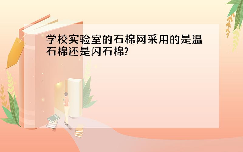 学校实验室的石棉网采用的是温石棉还是闪石棉?