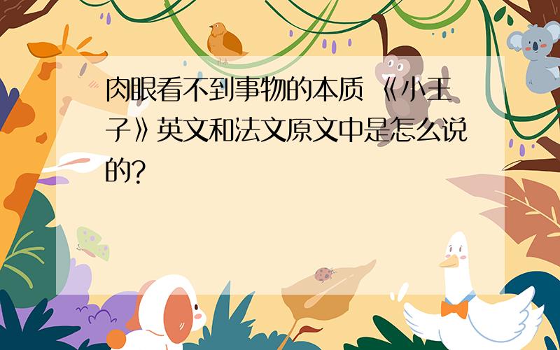 肉眼看不到事物的本质 《小王子》英文和法文原文中是怎么说的?