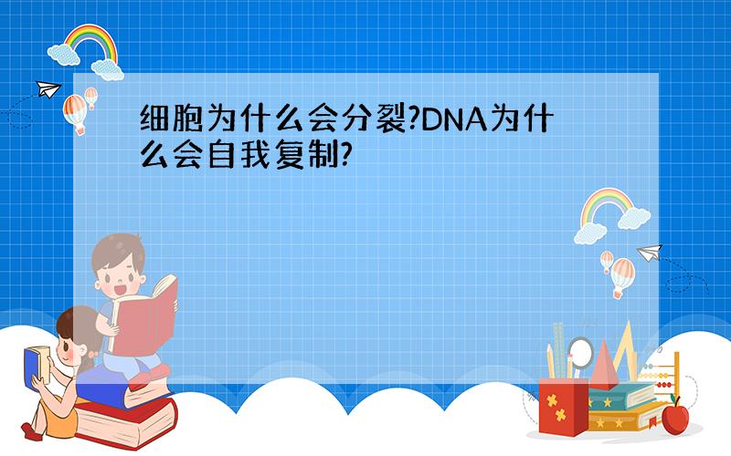 细胞为什么会分裂?DNA为什么会自我复制?