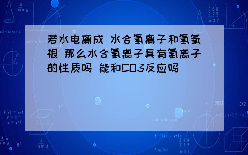 若水电离成 水合氢离子和氢氧根 那么水合氢离子具有氢离子的性质吗 能和CO3反应吗