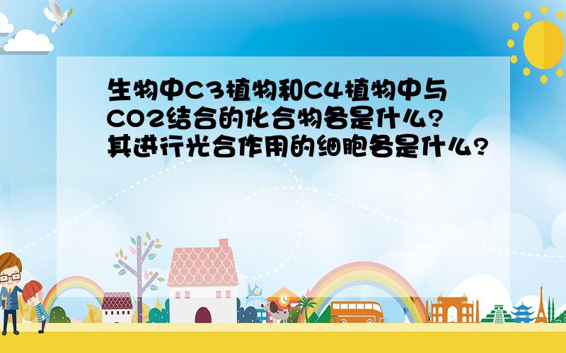 生物中C3植物和C4植物中与CO2结合的化合物各是什么?其进行光合作用的细胞各是什么?