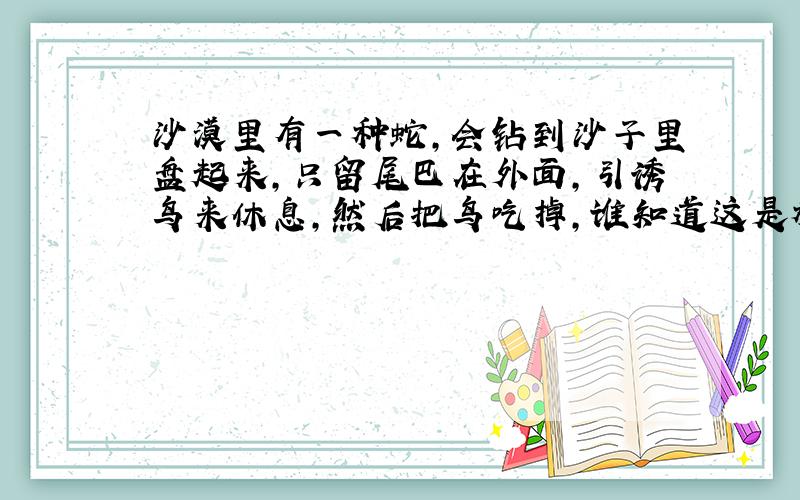 沙漠里有一种蛇,会钻到沙子里盘起来,只留尾巴在外面,引诱鸟来休息,然后把鸟吃掉,谁知道这是种什么蛇