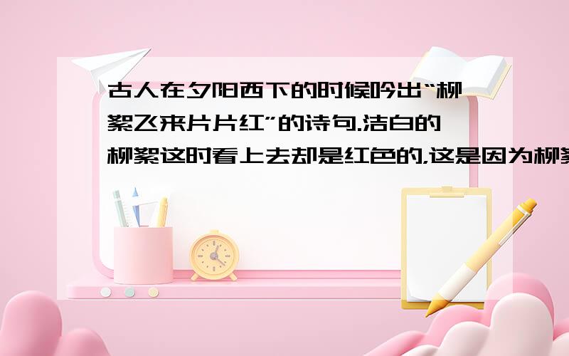 古人在夕阳西下的时候吟出“柳絮飞来片片红”的诗句.洁白的柳絮这时看上去却是红色的，这是因为柳絮（　　）