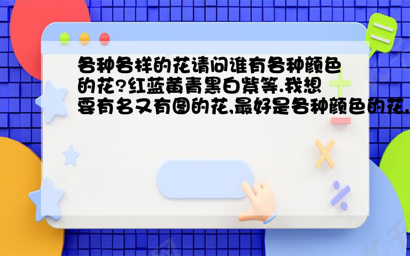 各种各样的花请问谁有各种颜色的花?红蓝黄青黑白紫等.我想要有名又有图的花,最好是各种颜色的花.