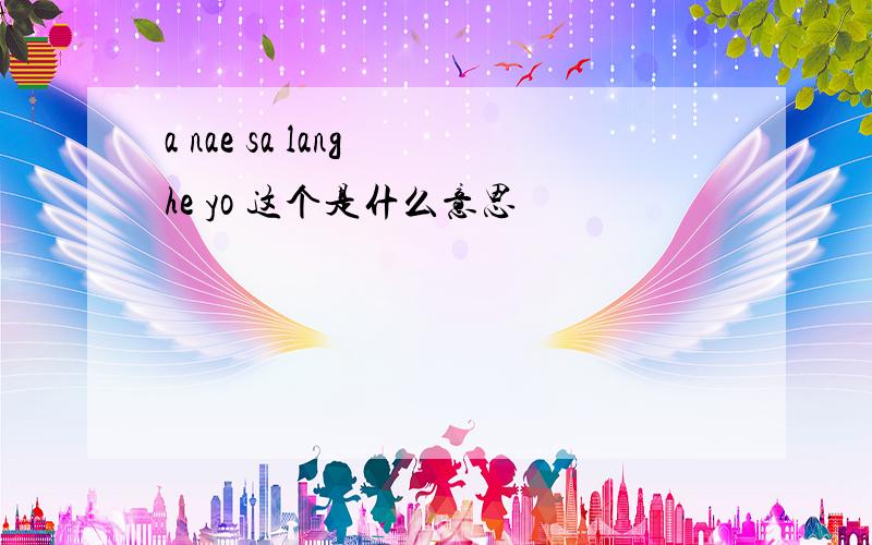 a nae sa lang he yo 这个是什么意思