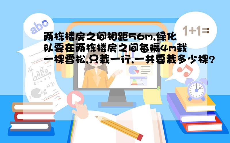 两栋楼房之间相距56m,绿化队要在两栋楼房之间每隔4m栽一棵雪松,只栽一行,一共要栽多少棵?