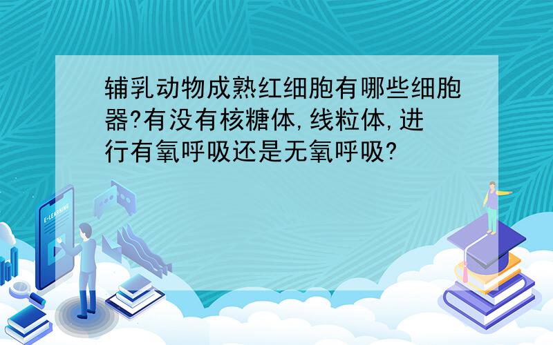 辅乳动物成熟红细胞有哪些细胞器?有没有核糖体,线粒体,进行有氧呼吸还是无氧呼吸?