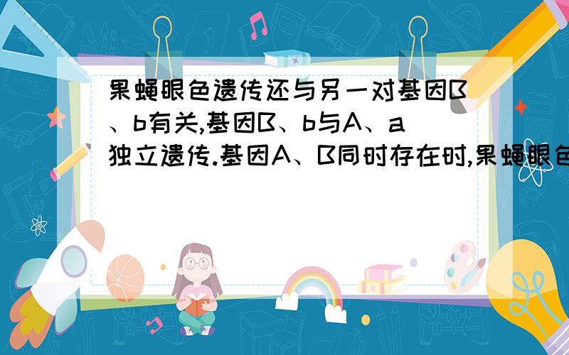 果蝇眼色遗传还与另一对基因B、b有关,基因B、b与A、a独立遗传.基因A、B同时存在时,果蝇眼色为红眼,基因A存在而B不