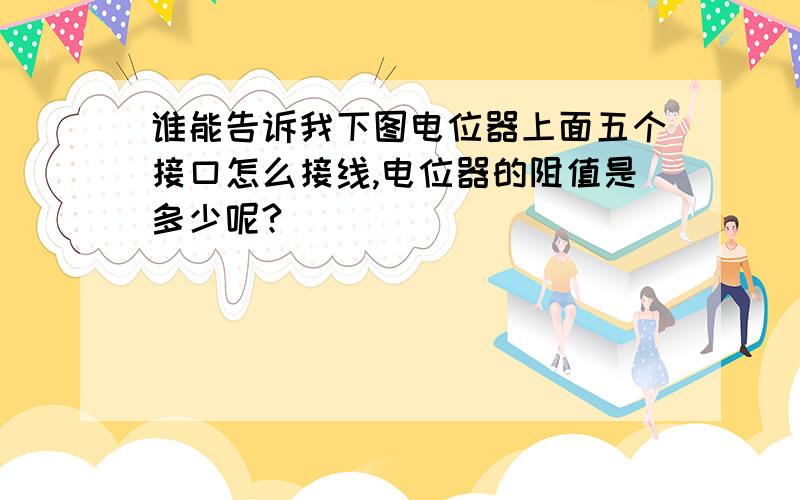 谁能告诉我下图电位器上面五个接口怎么接线,电位器的阻值是多少呢?