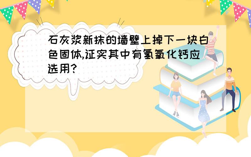 石灰浆新抹的墙壁上掉下一块白色固体,证实其中有氢氧化钙应选用?