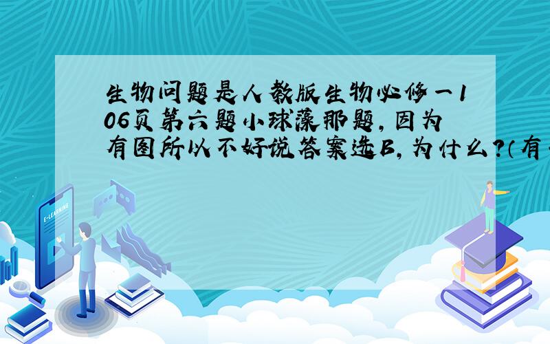 生物问题是人教版生物必修一106页第六题小球藻那题,因为有图所以不好说答案选B,为什么?（有书的朋友麻烦翻一翻谢谢~）