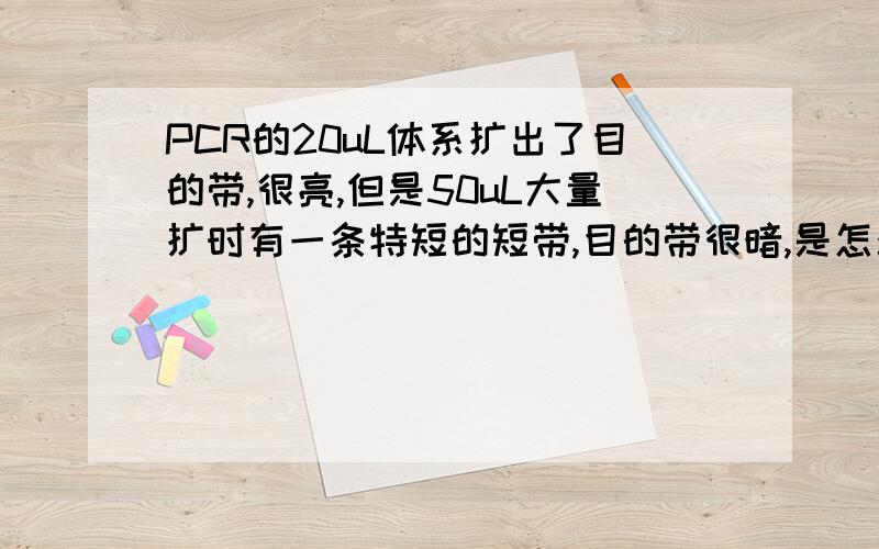 PCR的20uL体系扩出了目的带,很亮,但是50uL大量扩时有一条特短的短带,目的带很暗,是怎么回事