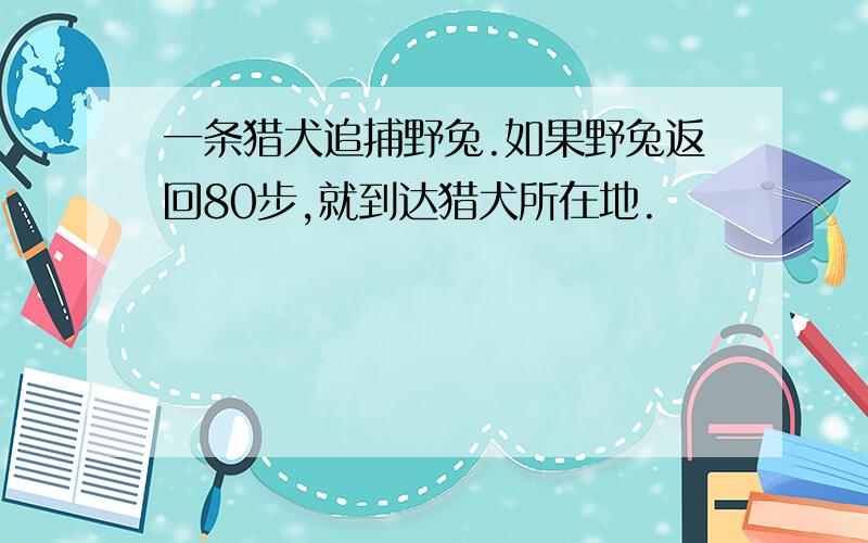 一条猎犬追捕野兔.如果野兔返回80步,就到达猎犬所在地.