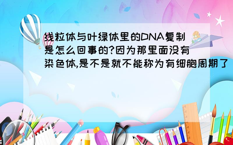 线粒体与叶绿体里的DNA复制是怎么回事的?因为那里面没有染色体,是不是就不能称为有细胞周期了