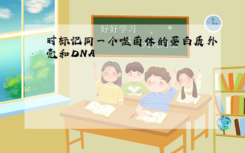 时标记同一个噬菌体的蛋白质外壳和DNA