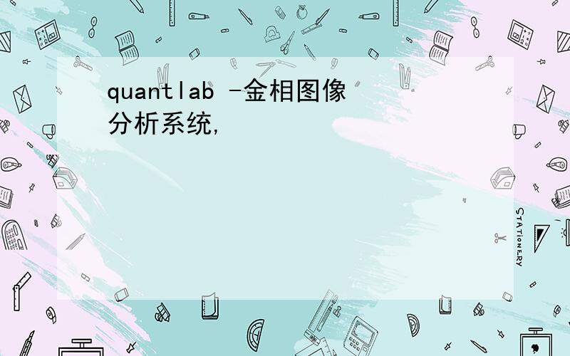 quantlab -金相图像分析系统,