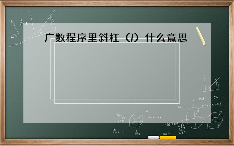 广数程序里斜杠（/）什么意思