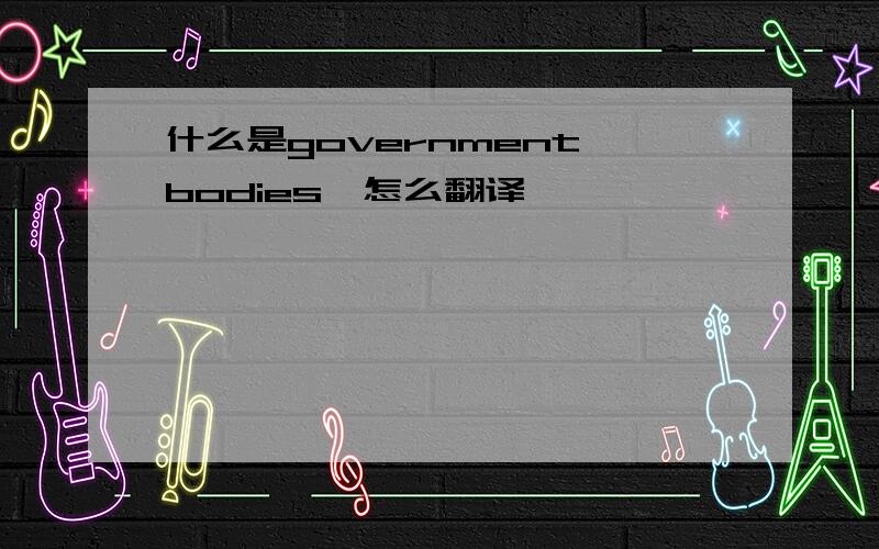 什么是government bodies,怎么翻译