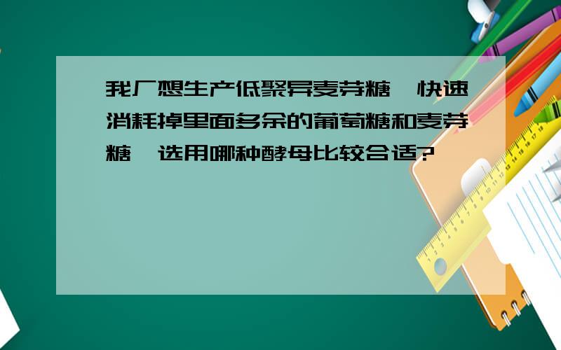 我厂想生产低聚异麦芽糖,快速消耗掉里面多余的葡萄糖和麦芽糖,选用哪种酵母比较合适?