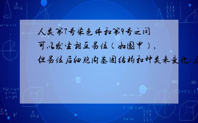 人类第7号染色体和第9号之间可以发生相互易位（如图甲），但易位后细胞内基因结构和种类未变化；后代如果出现9号染色体“部分