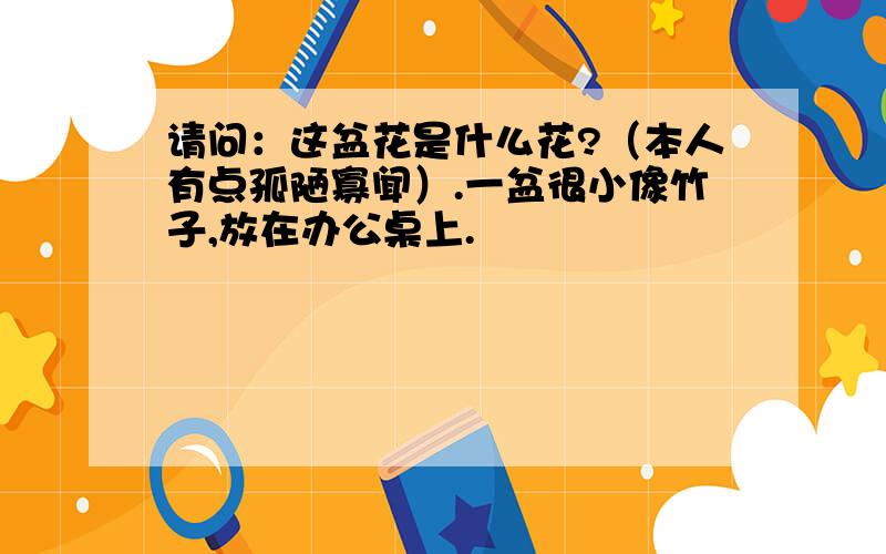 请问：这盆花是什么花?（本人有点孤陋寡闻）.一盆很小像竹子,放在办公桌上.