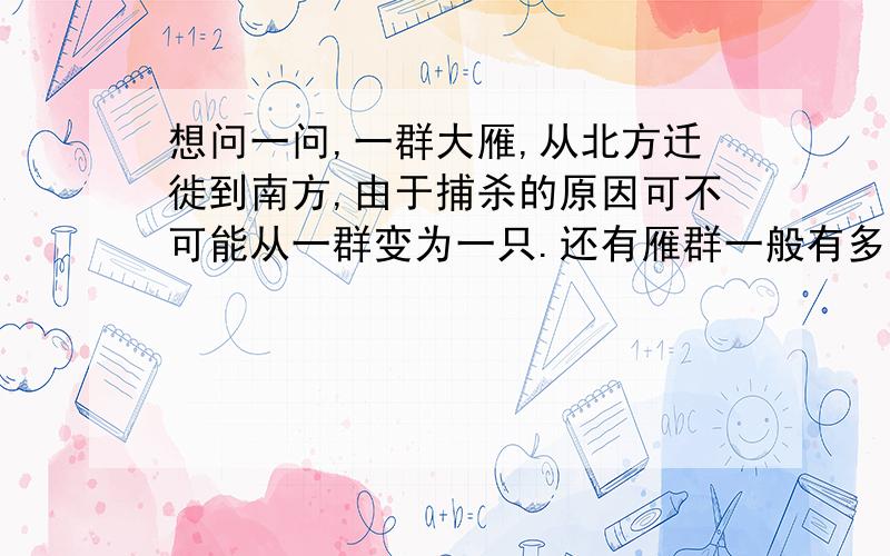 想问一问,一群大雁,从北方迁徙到南方,由于捕杀的原因可不可能从一群变为一只.还有雁群一般有多少只