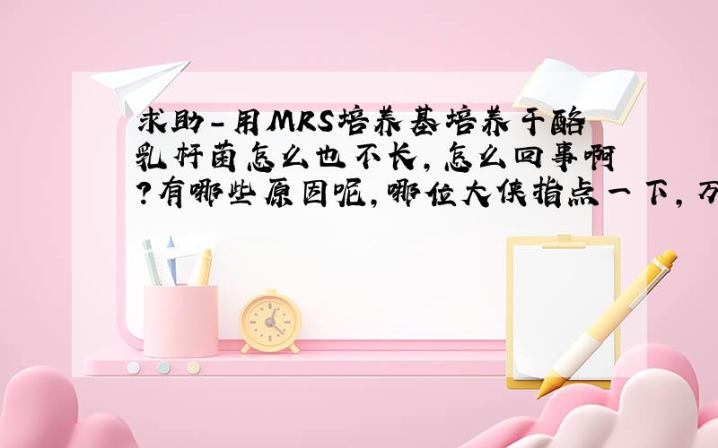 求助-用MRS培养基培养干酪乳杆菌怎么也不长,怎么回事啊?有哪些原因呢,哪位大侠指点一下,万分感谢!