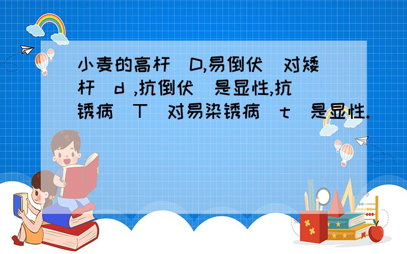 小麦的高杆(D,易倒伏)对矮杆(d ,抗倒伏)是显性,抗锈病(T)对易染锈病(t)是显性.