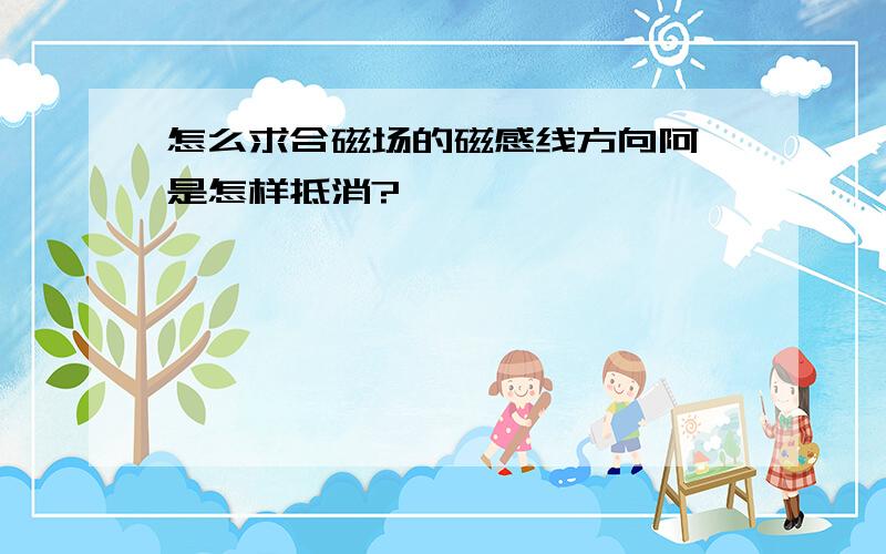 怎么求合磁场的磁感线方向阿,是怎样抵消?