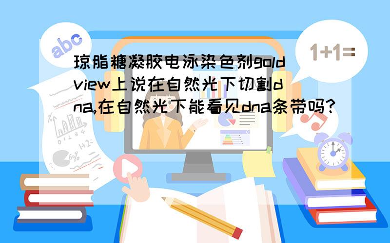 琼脂糖凝胶电泳染色剂goldview上说在自然光下切割dna,在自然光下能看见dna条带吗?