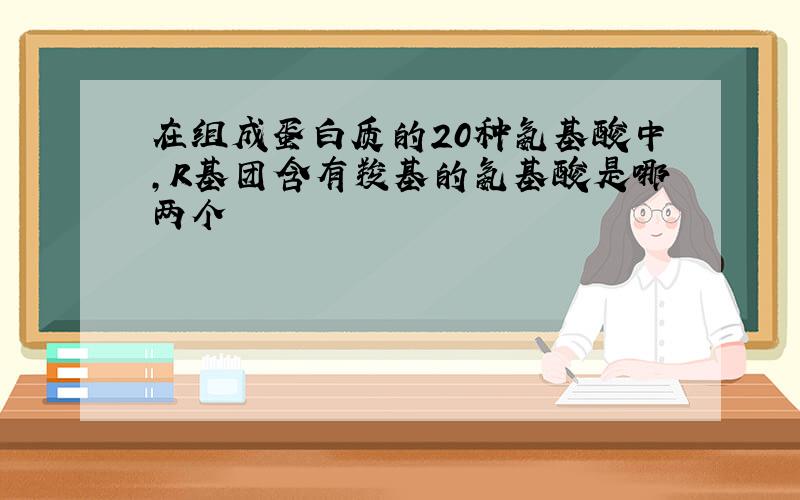 在组成蛋白质的20种氨基酸中,R基团含有羧基的氨基酸是哪两个