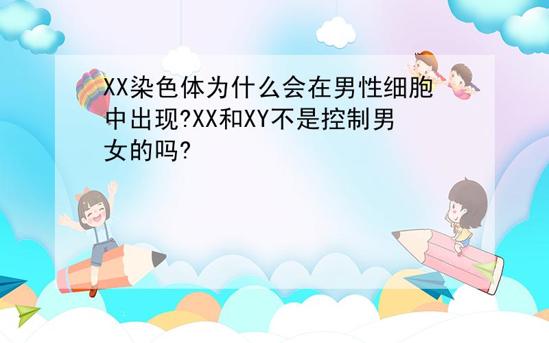 XX染色体为什么会在男性细胞中出现?XX和XY不是控制男女的吗?