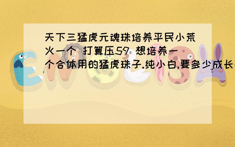 天下三猛虎元魂珠培养平民小荒火一个 打算压59 想培养一个合体用的猛虎珠子.纯小白,要多少成长的珠子升到多少级升星...