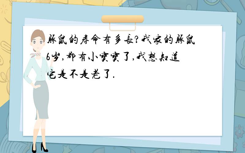 豚鼠的寿命有多长?我家的豚鼠6岁,都有小宝宝了,我想知道它是不是老了.