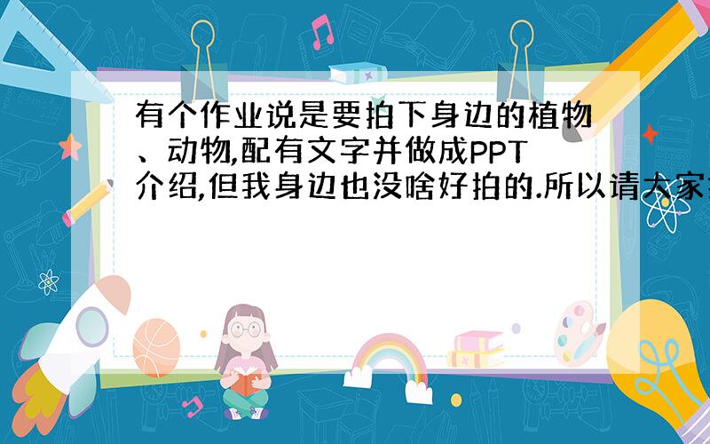 有个作业说是要拍下身边的植物、动物,配有文字并做成PPT介绍,但我身边也没啥好拍的.所以请大家推荐几种常见植物吧,要非常