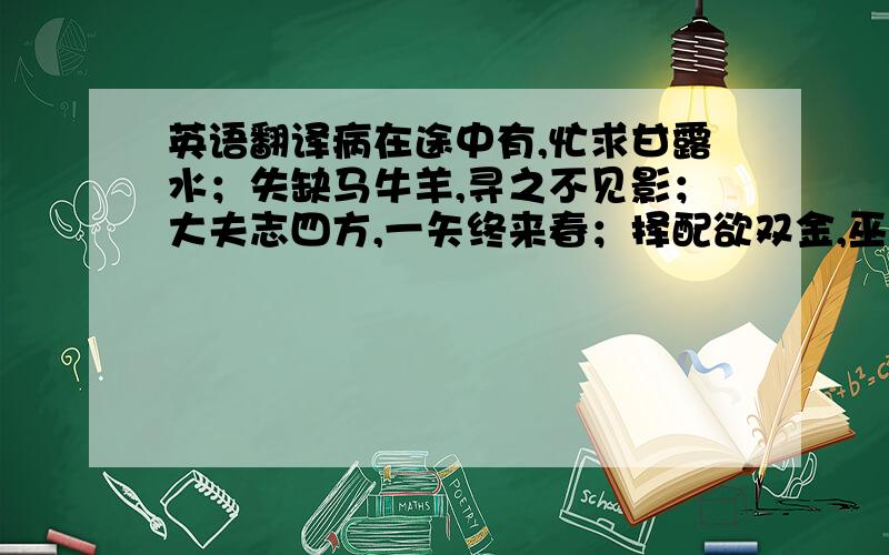 英语翻译病在途中有,忙求甘露水；失缺马牛羊,寻之不见影；大夫志四方,一矢终来春；择配欲双金,巫山云已合；禁火莫烧山,如行