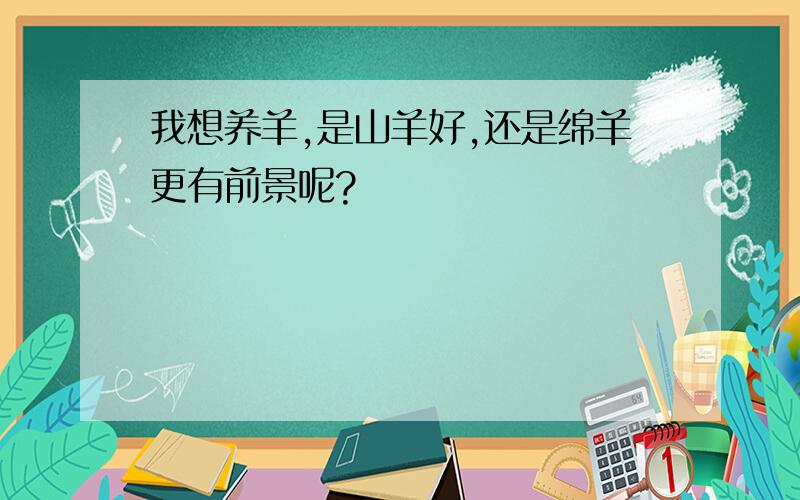 我想养羊,是山羊好,还是绵羊更有前景呢?