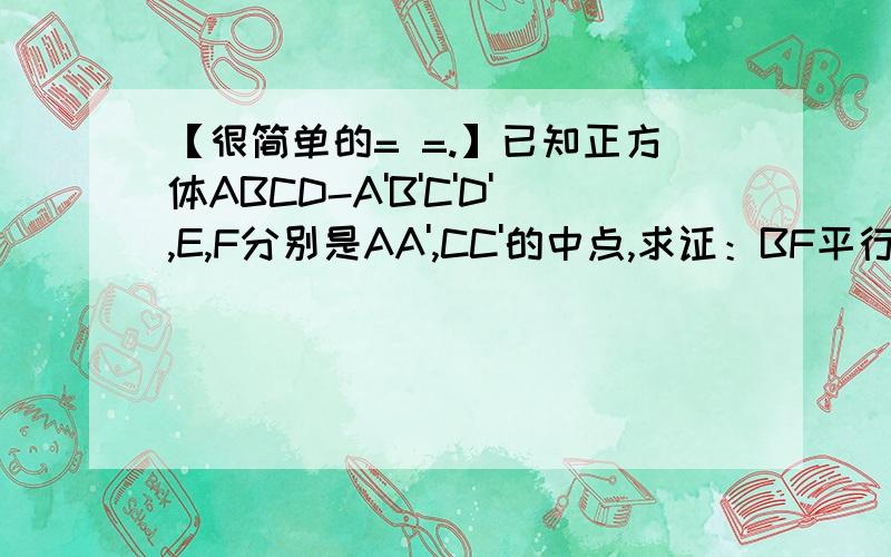 【很简单的= =.】已知正方体ABCD-A'B'C'D',E,F分别是AA',CC'的中点,求证：BF平行ED'这种小白