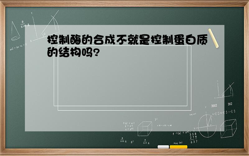 控制酶的合成不就是控制蛋白质的结构吗?