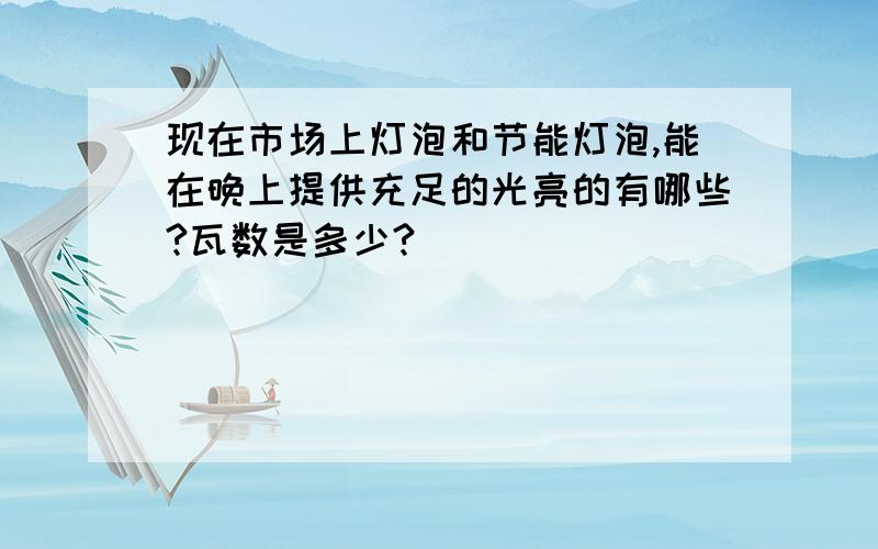 现在市场上灯泡和节能灯泡,能在晚上提供充足的光亮的有哪些?瓦数是多少?