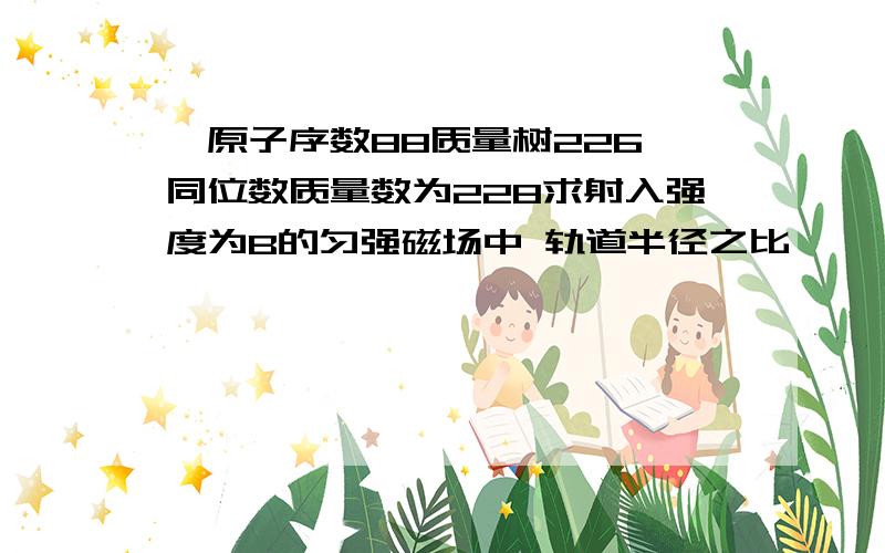 镭原子序数88质量树226 同位数质量数为228求射入强度为B的匀强磁场中 轨道半径之比