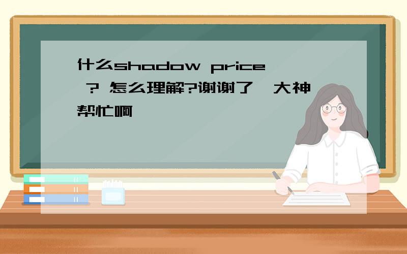 什么shadow price ? 怎么理解?谢谢了,大神帮忙啊