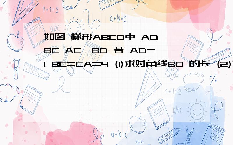 如图 梯形ABCD中 AD‖BC AC⊥BD 若 AD=1 BC=CA=4 (1)求对角线BD 的长 (2)求梯形ABC